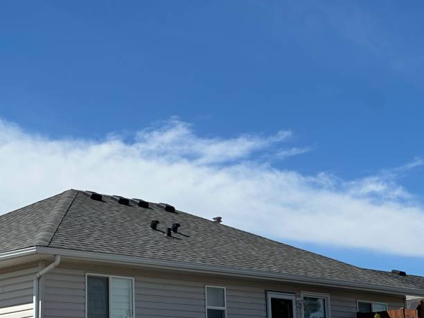 Best Roof Moss and Algae Removal  in Kellyville, OK